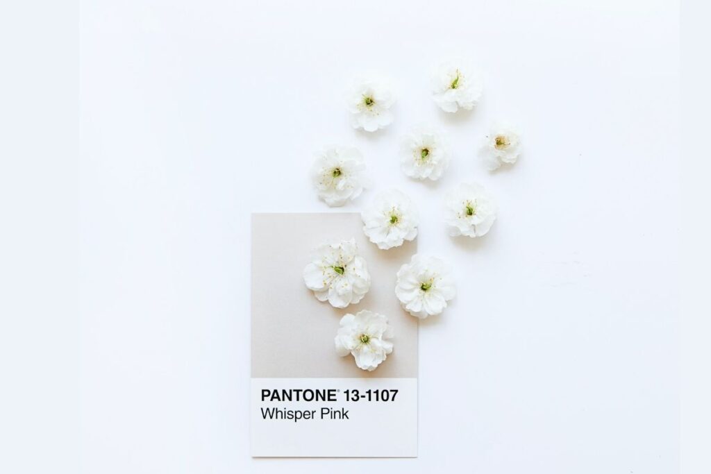 Pantone swatch part of branding process